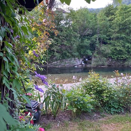 Riverside Villa Avo - Apartment Martin Spodnja Idrija Exteriör bild