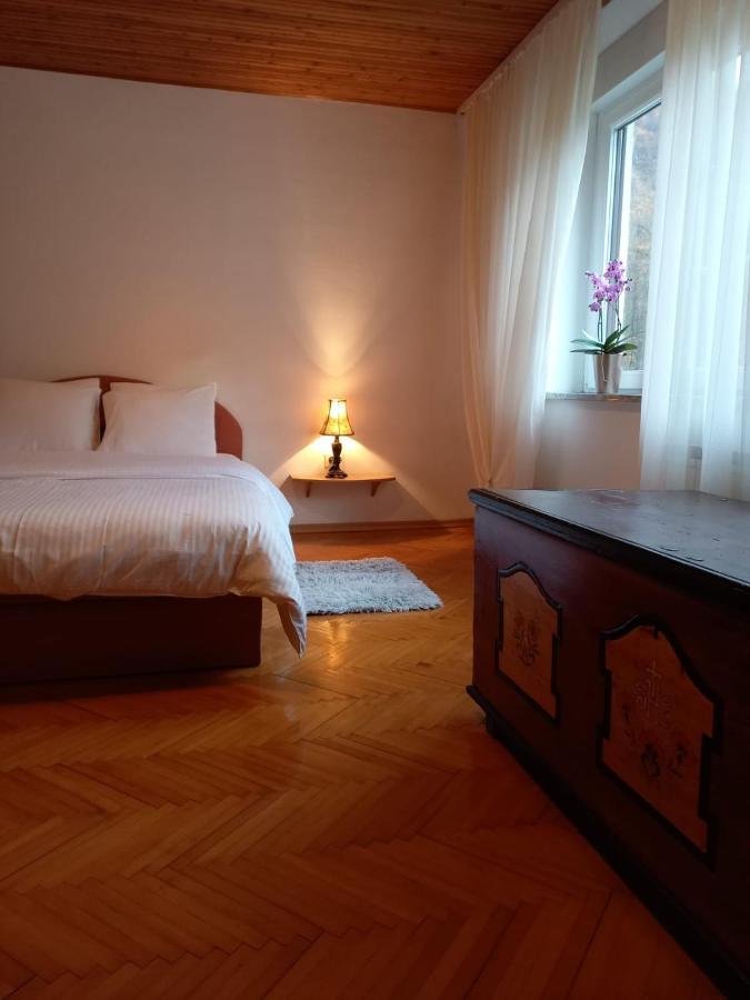 Riverside Villa Avo - Apartment Martin Spodnja Idrija Exteriör bild
