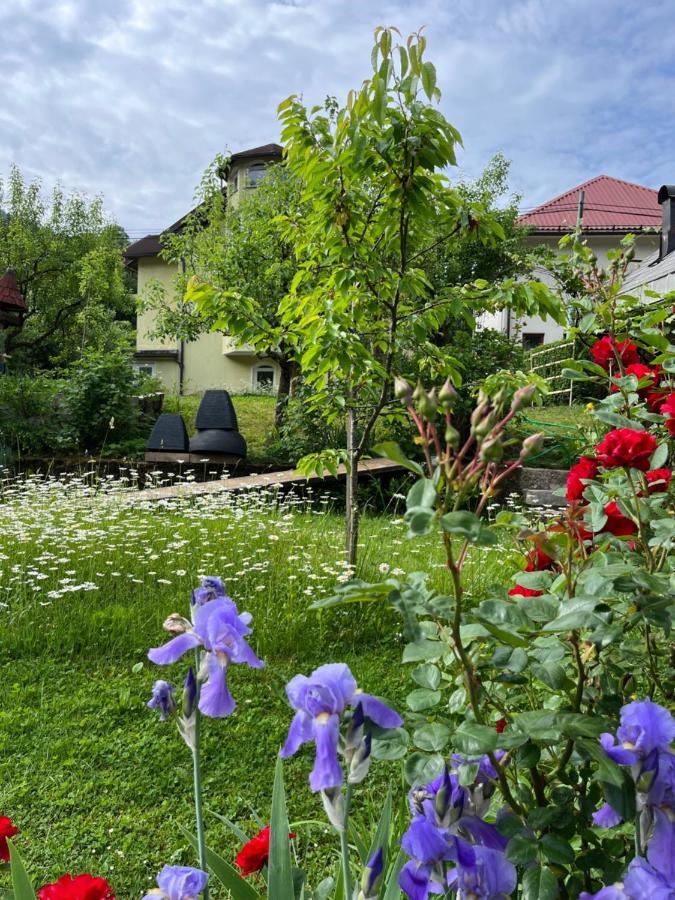 Riverside Villa Avo - Apartment Martin Spodnja Idrija Exteriör bild