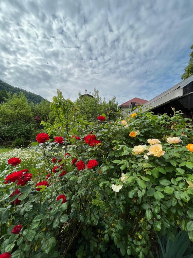 Riverside Villa Avo - Apartment Martin Spodnja Idrija Exteriör bild