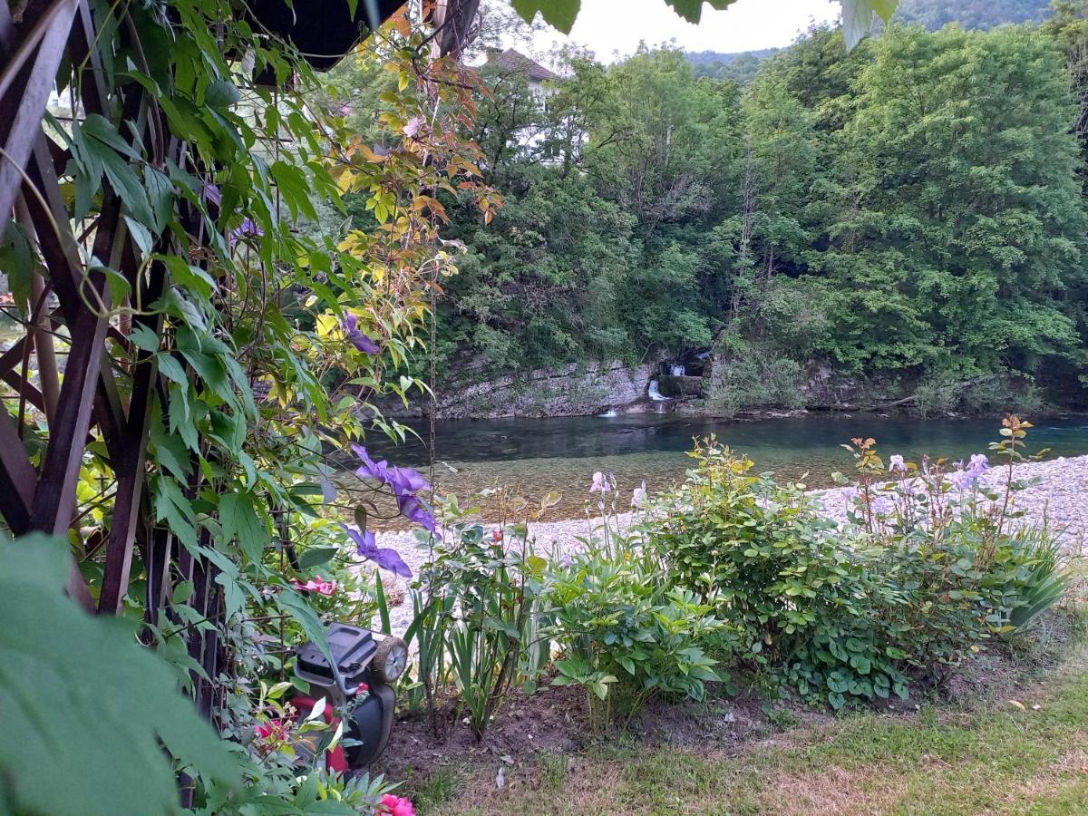 Riverside Villa Avo - Apartment Martin Spodnja Idrija Exteriör bild